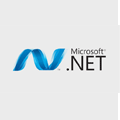 Dot Net Technology is used in Web App Development